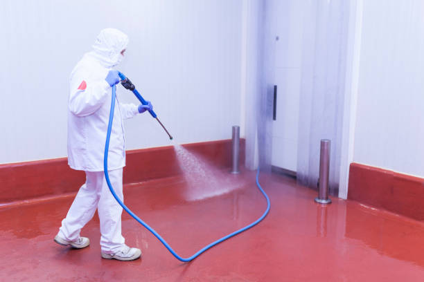 Best Winterizing Services  in Clendon, AR