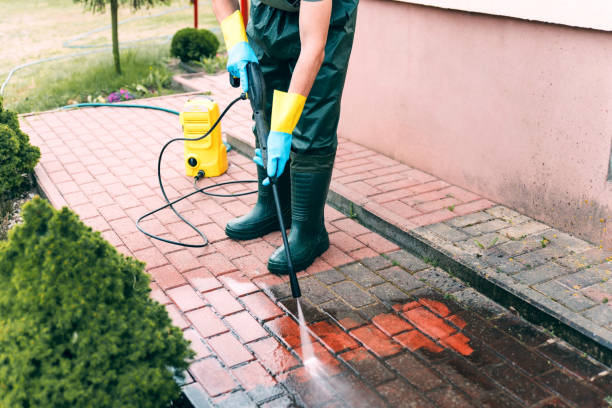 Best Driveway Pressure Washing  in Clendon, AR